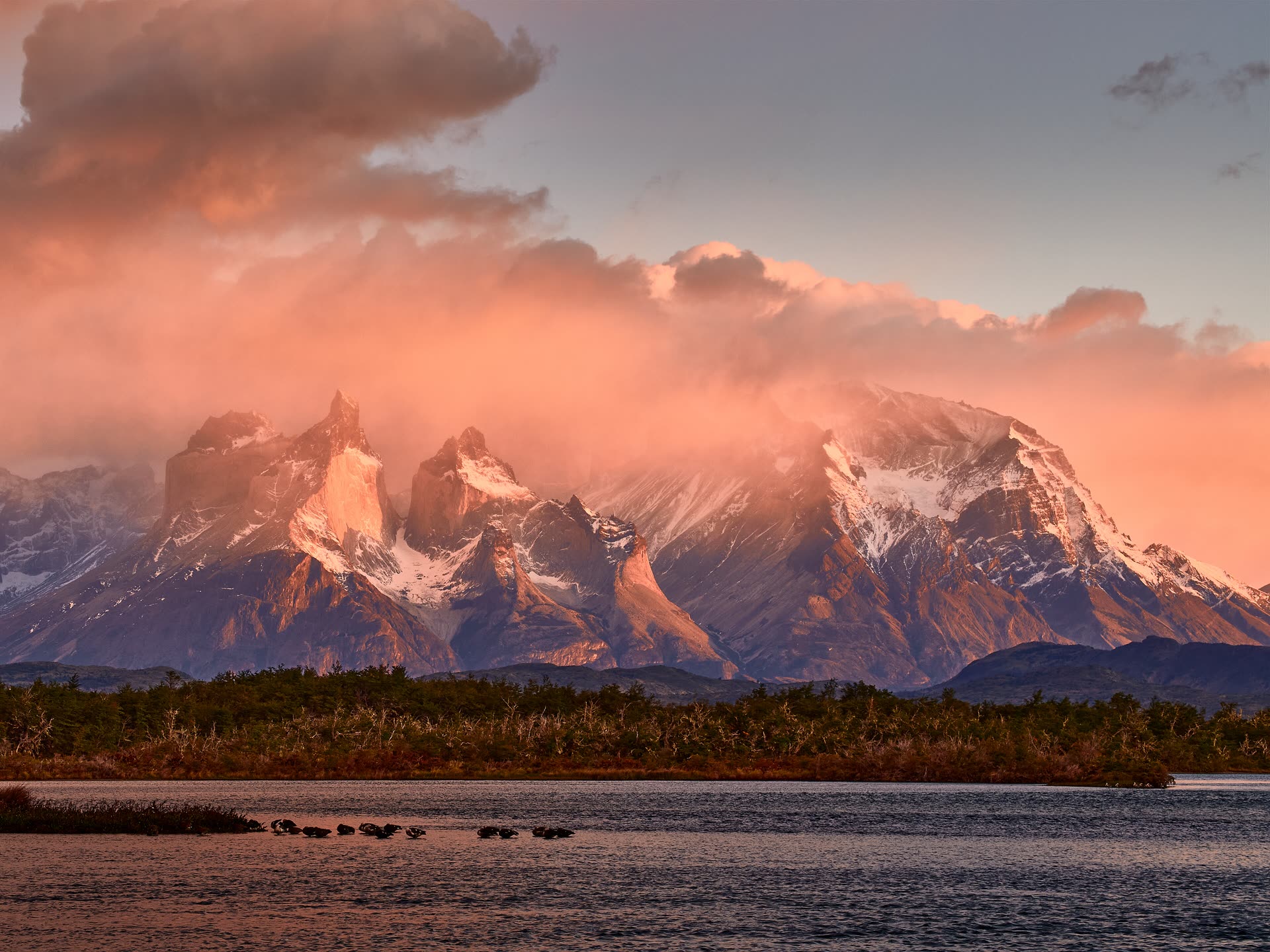 Patagonia